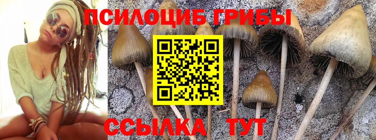 Алушта  Галлюциногенные грибы мицелий  Вход с VPN 